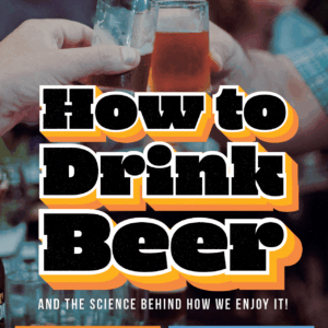 Beer School CAPE TOWN - One Session