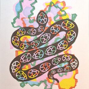 Art Project - 10D - Multi Colour Hop Snake