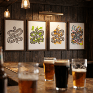 Art Project - 10D - Multi Colour Hop Snake
